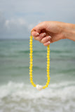 SUNSHINE SHELL NECKLACE