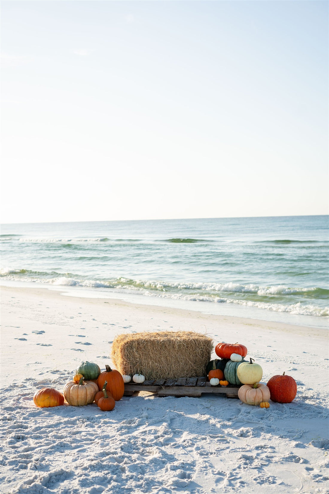 COASTAL COMFORT COLLECTION