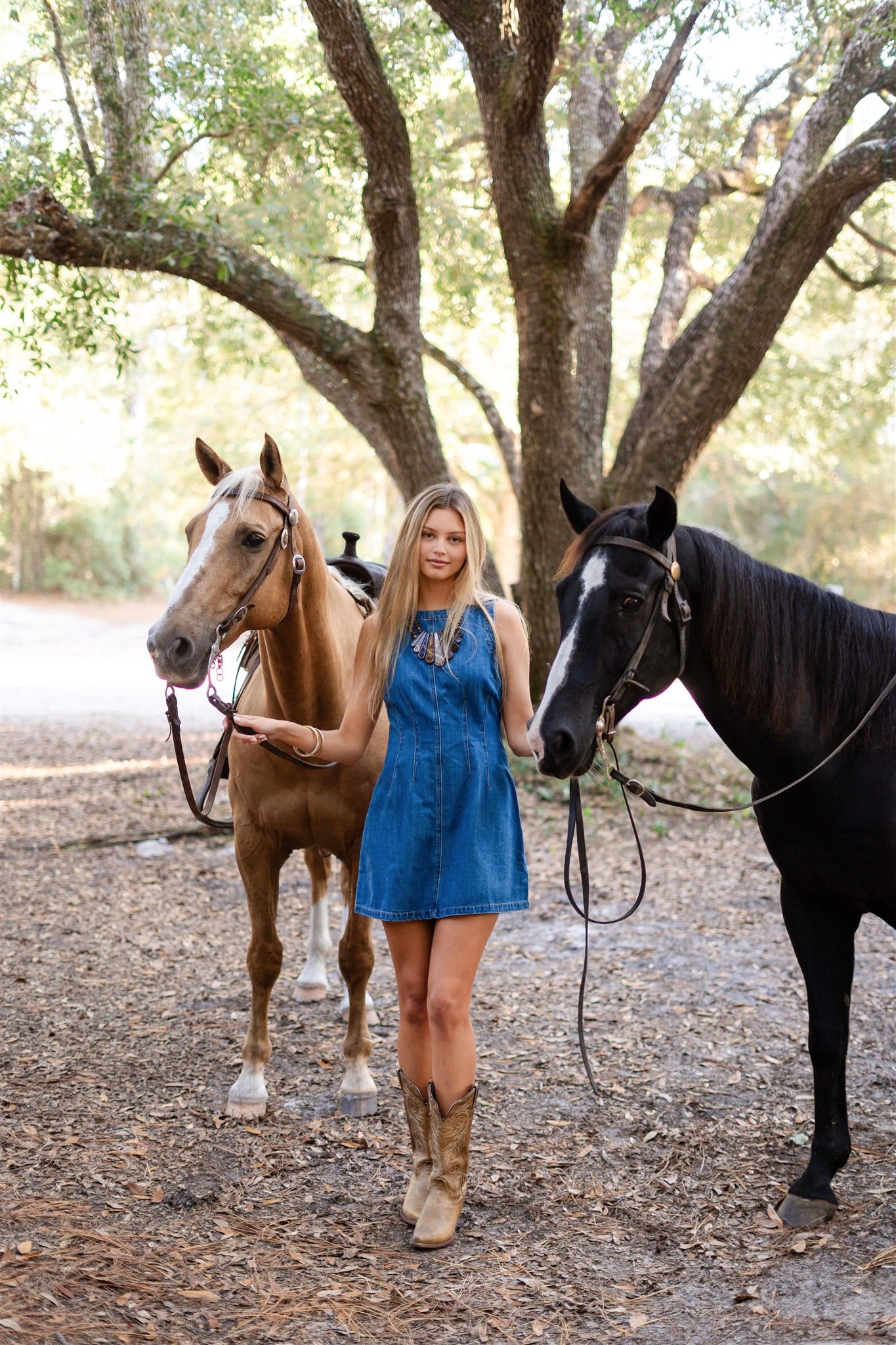 CATTLE DENIM DRESS