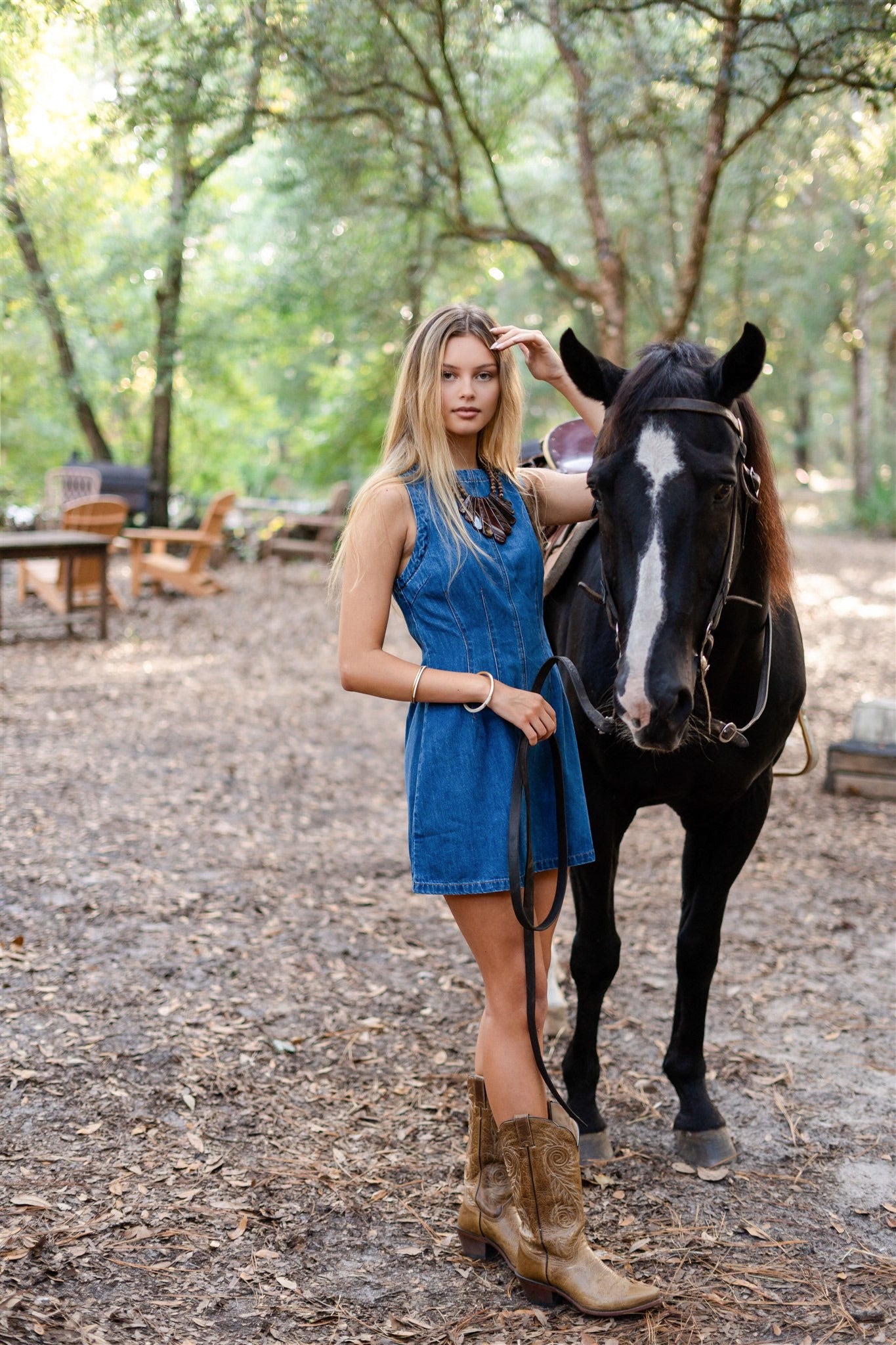 CATTLE DENIM DRESS