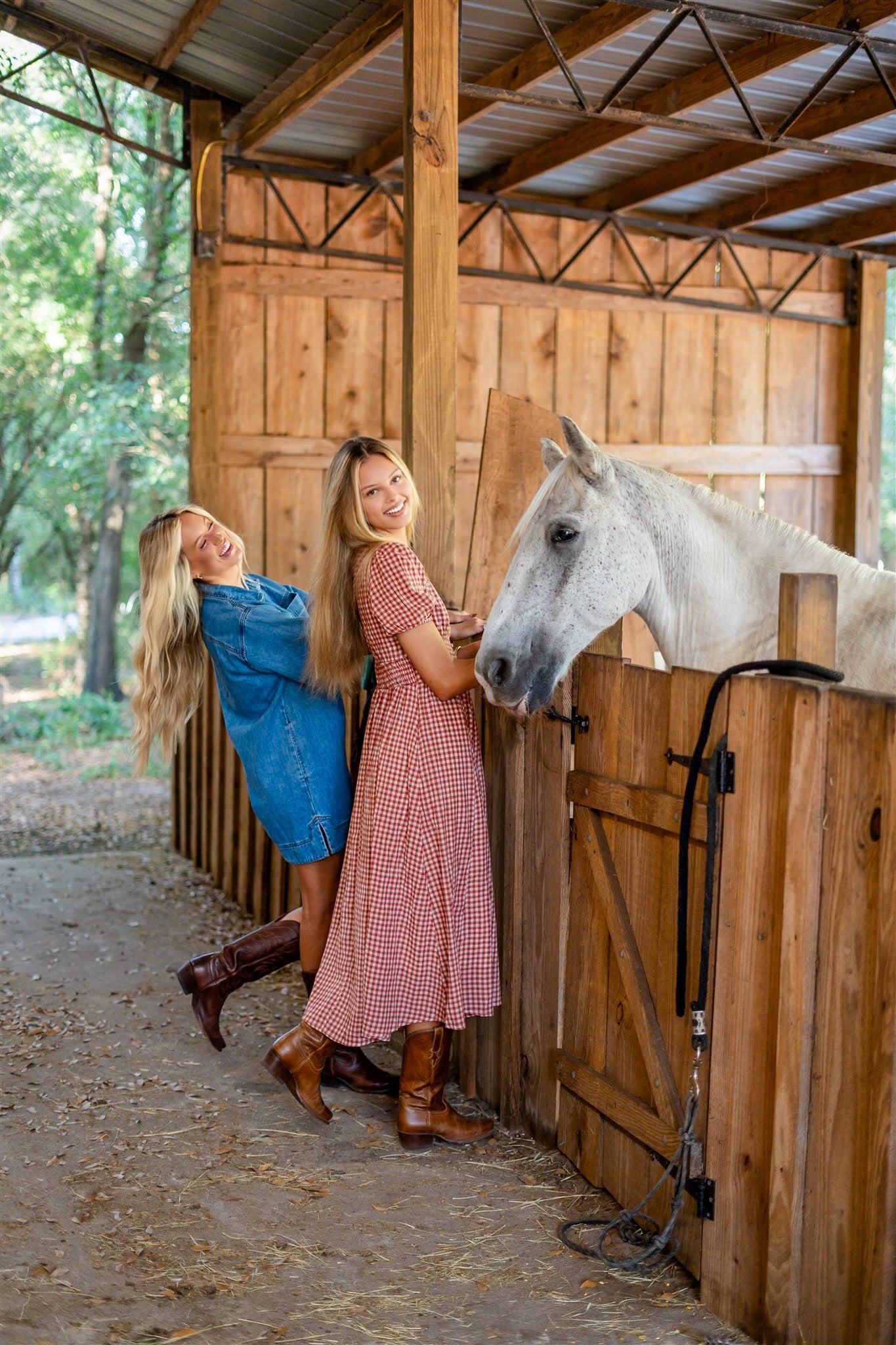 PICNIC CHARM DRESS