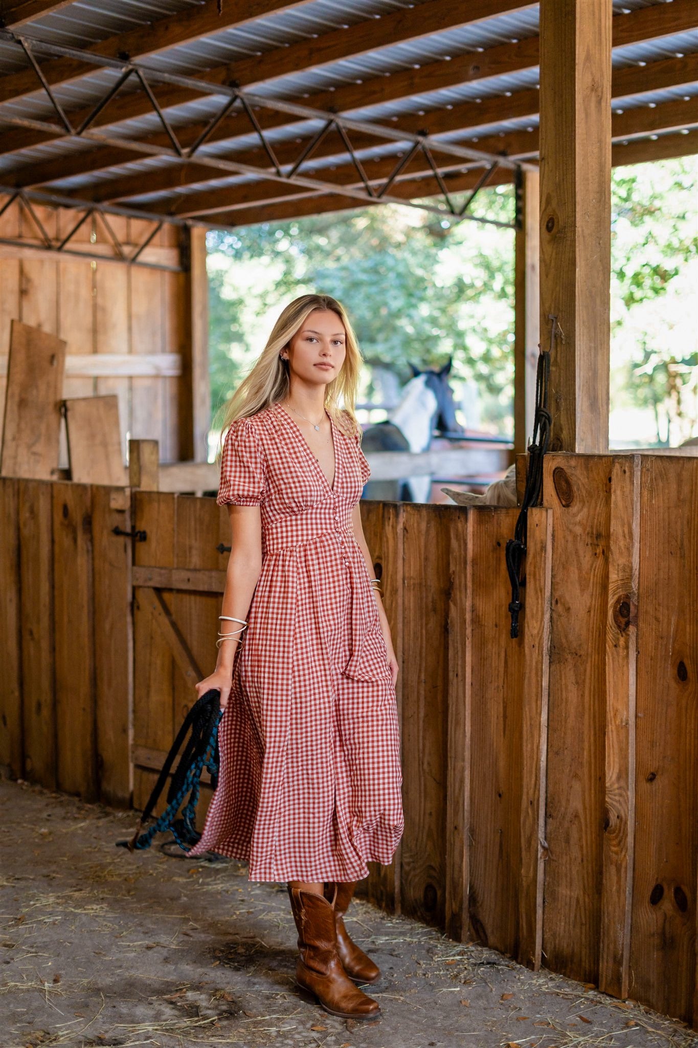 PICNIC CHARM DRESS