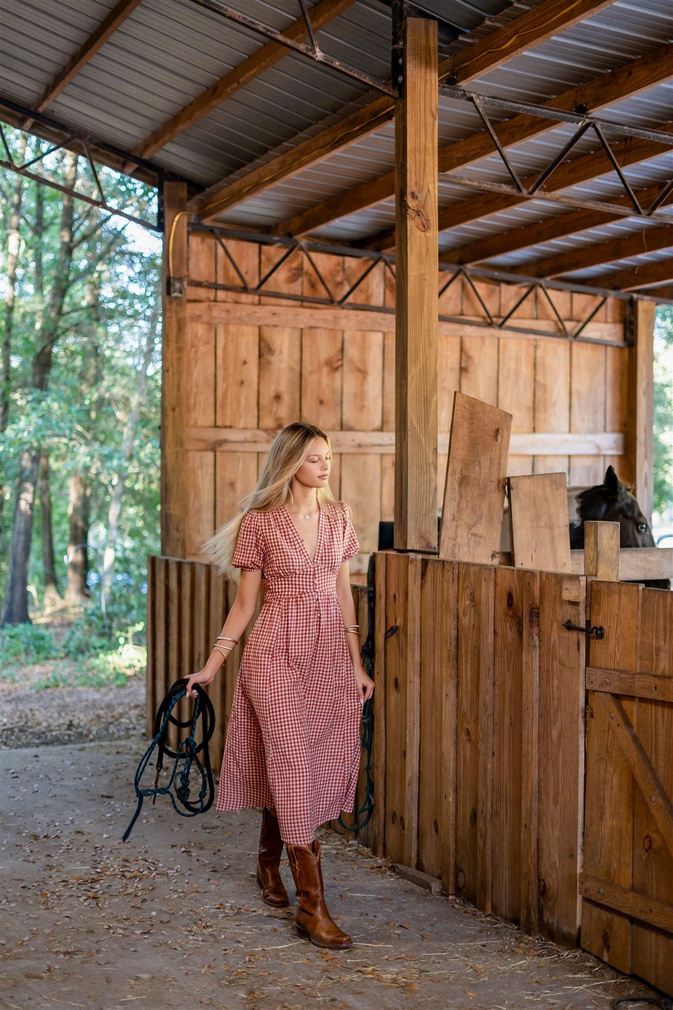 PICNIC CHARM DRESS