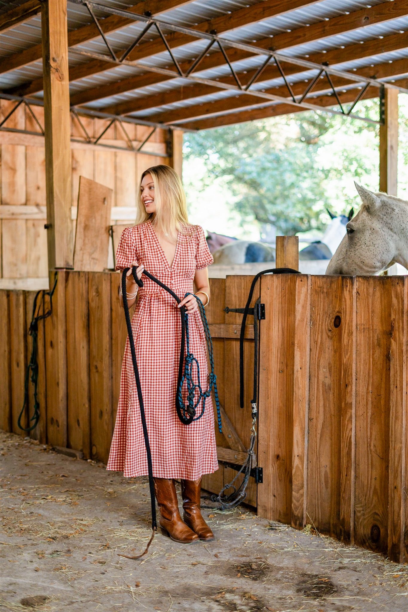 PICNIC CHARM DRESS