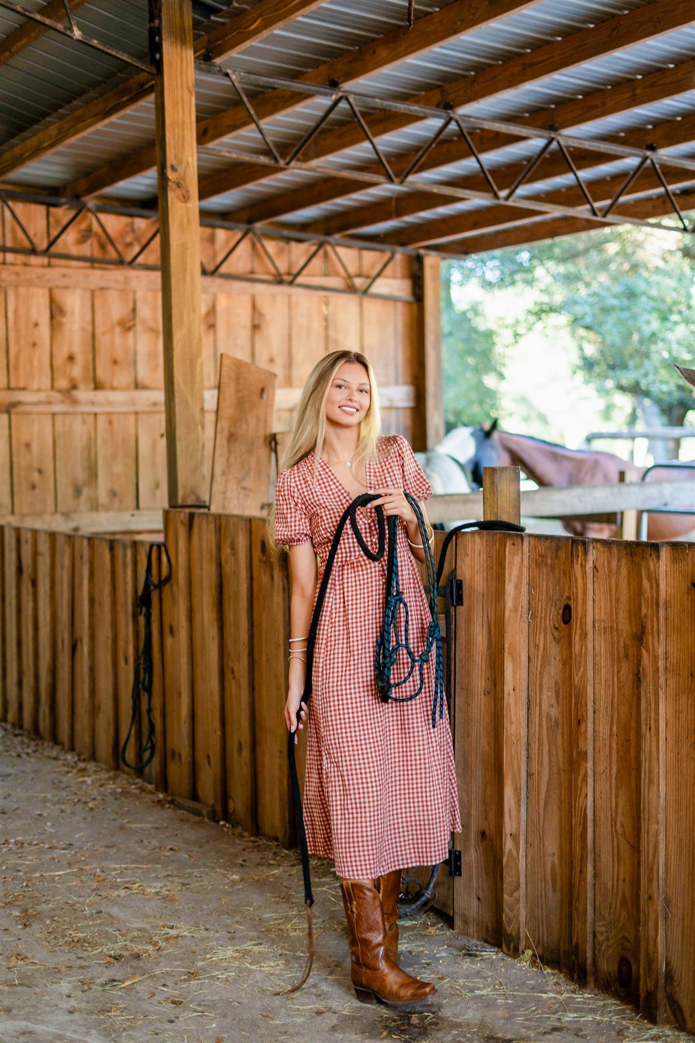 PICNIC CHARM DRESS