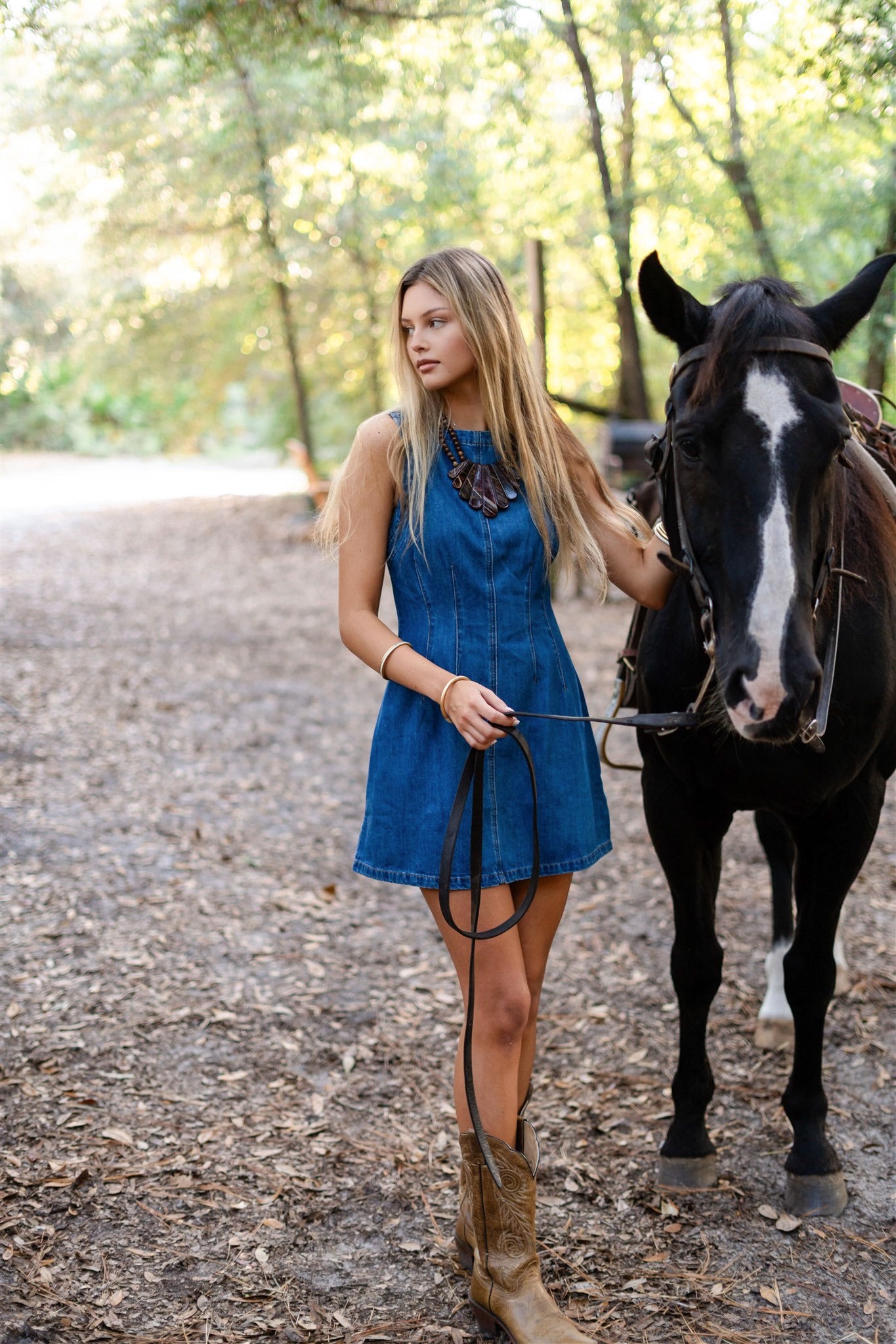 CATTLE DENIM DRESS