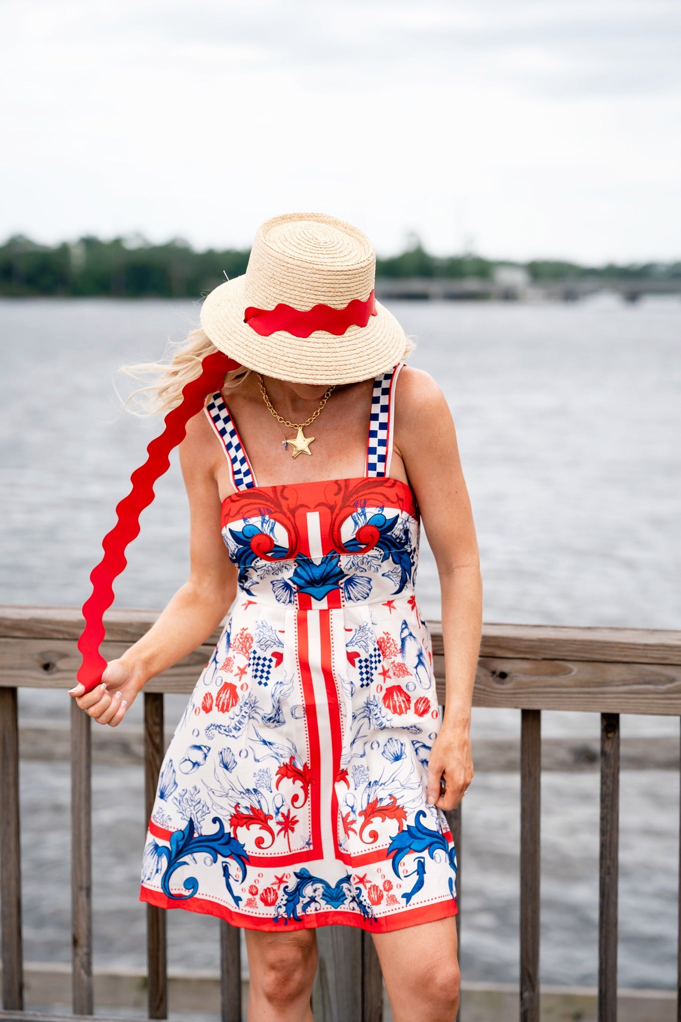 AMERICA THE BEAUTIFUL DRESS